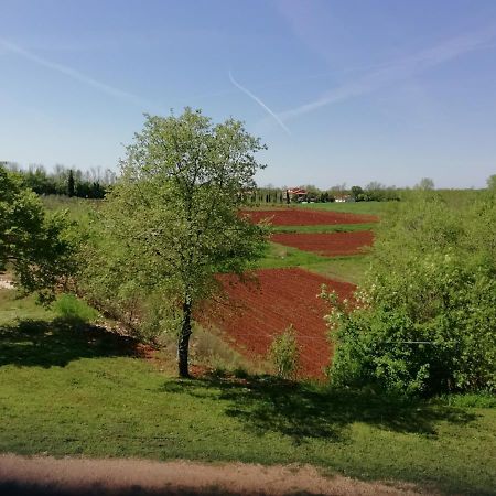 Apartman Nikola Ladrovici Εξωτερικό φωτογραφία