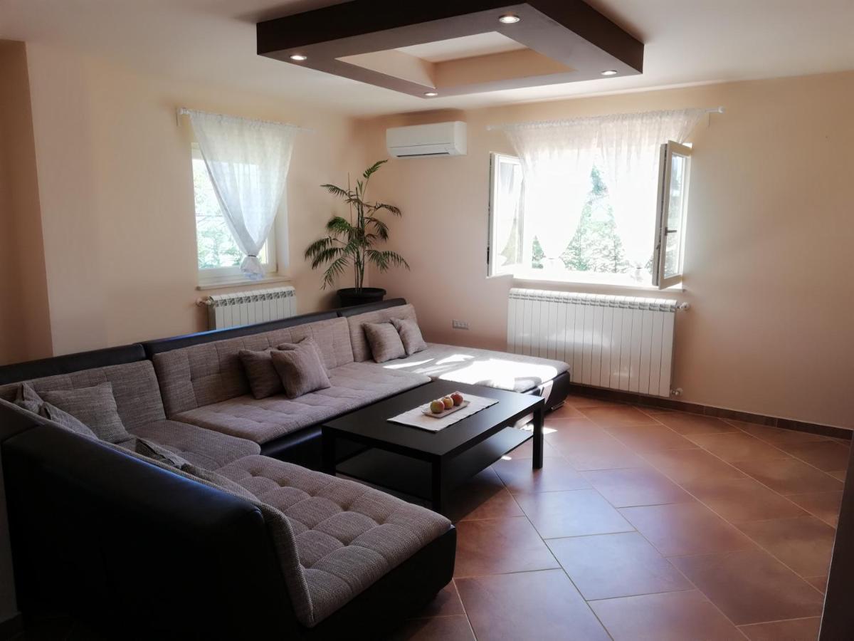 Apartman Nikola Ladrovici Εξωτερικό φωτογραφία