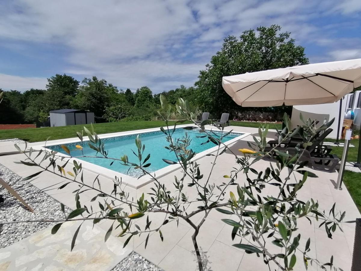 Apartman Nikola Ladrovici Εξωτερικό φωτογραφία